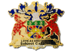 Custom Hard Enamel Pin Badges 13