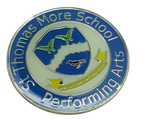 Example enamel school badges