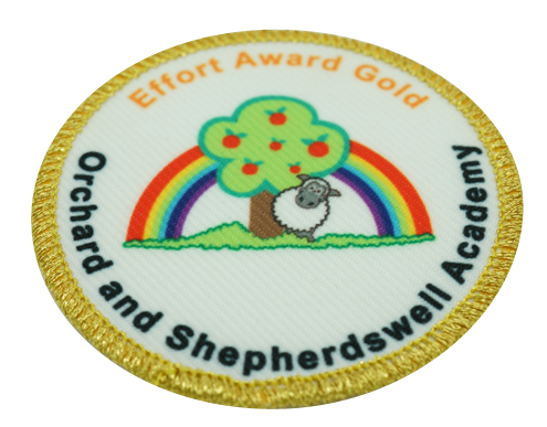 Example sew on embroidered school badge