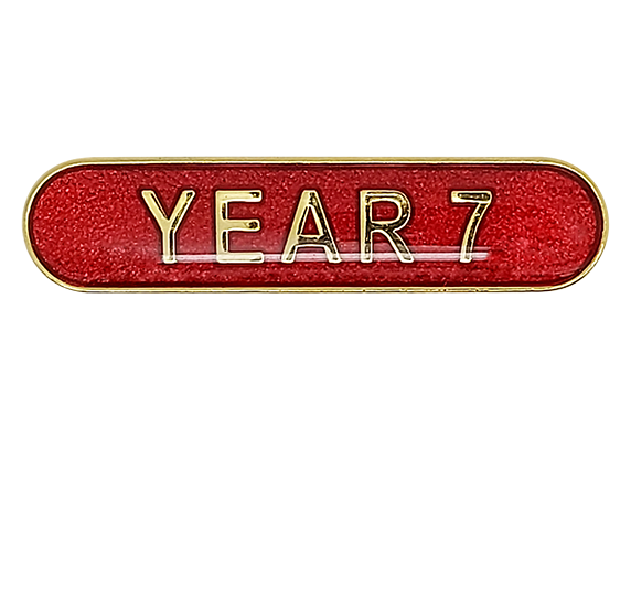 Year 7 Rounded Edge Bar Badge