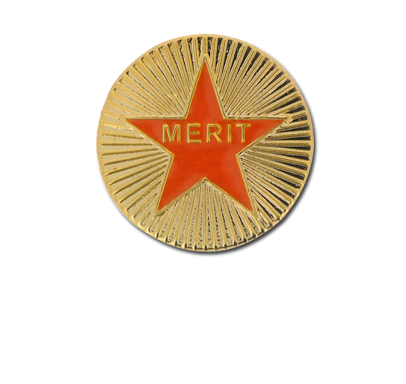 Enamelled Merit Round Badge