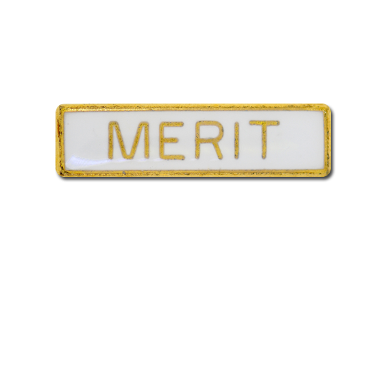 Merit Small Bar Badge