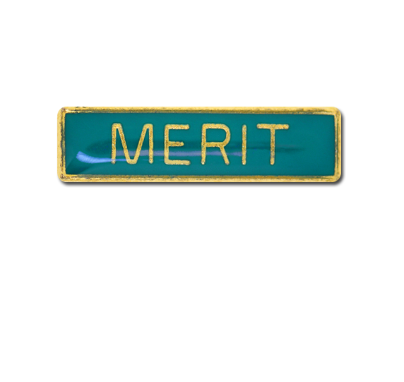 Merit Small Bar Badge