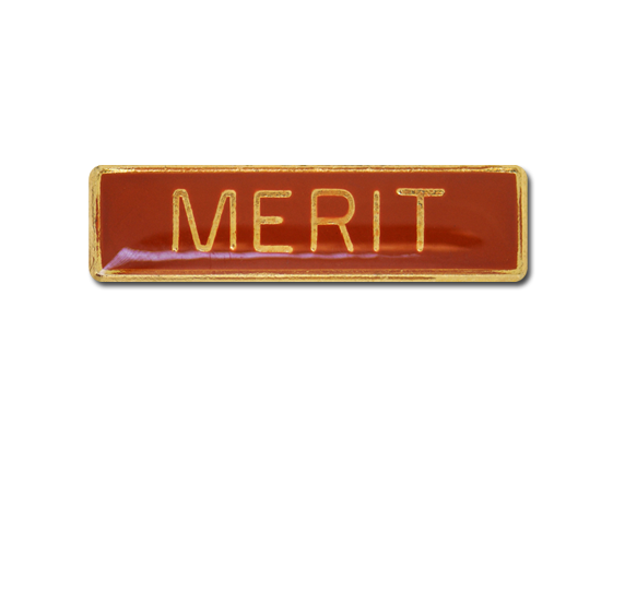 Merit Small Bar Badge