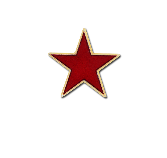 Small Enamelled Star Badge