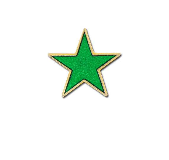 Small Enamelled Star Badge