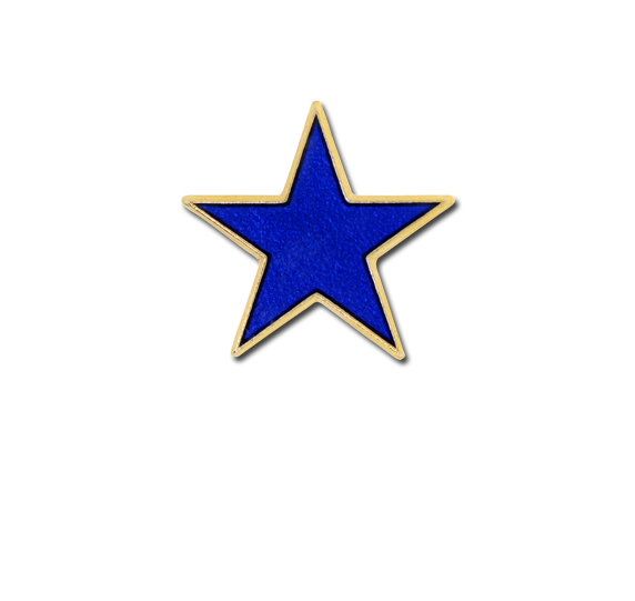 Small Enamelled Star Badge