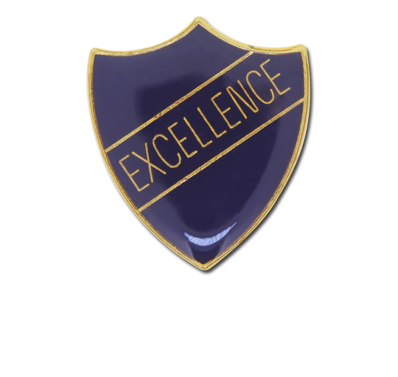 Excellence Enamelled Shield Badge