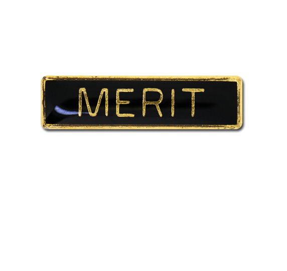Merit Small Bar Badge