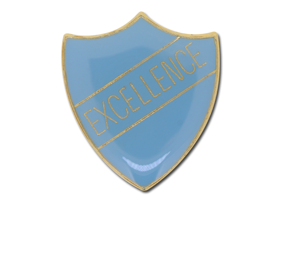 Excellence Enamelled Shield Badge