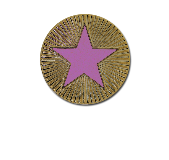 Enamelled Plain Star Round Badge