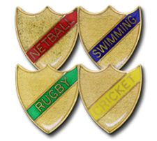 Small Enamelled Stripe Shield Badges