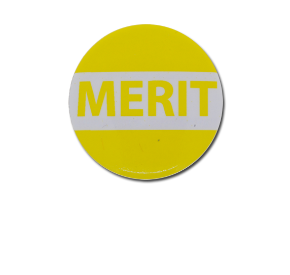 Merit Plastic Button Badge