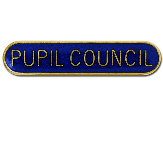 Eco-Council Pin Badge in Blue Enamel With Rounded Edge 
