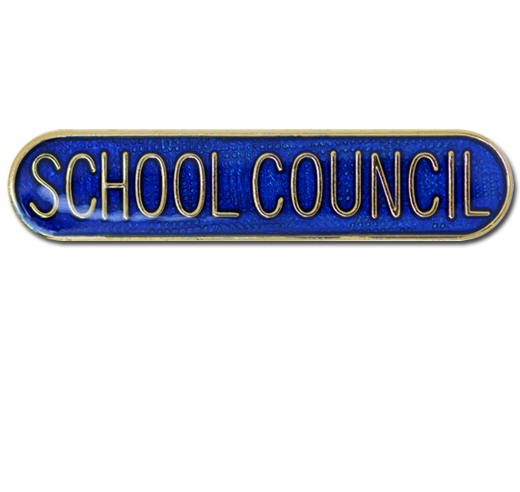 Year Council Pin Badge in Blue Enamel With Rounded Edge 
