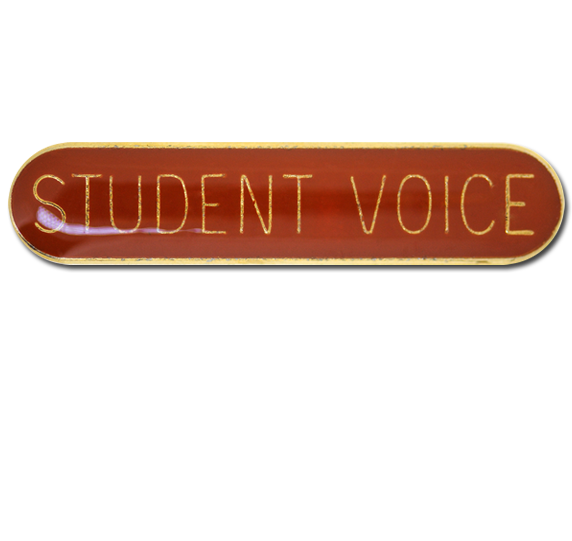 Student Voice Rounded Edge Bar Badge