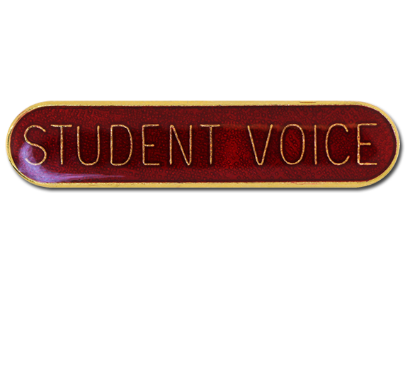 Student Voice Rounded Edge Bar Badge