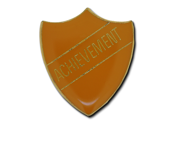 Achievement Enamelled Shield Badge