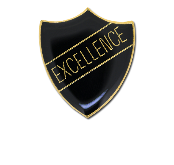 Excellence Enamelled Shield Badge