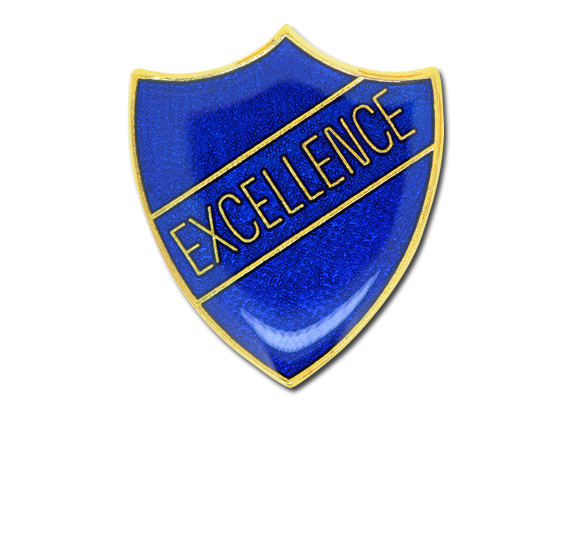 Excellence Enamelled Shield Badge