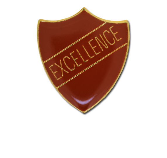 Excellence Enamelled Shield Badge