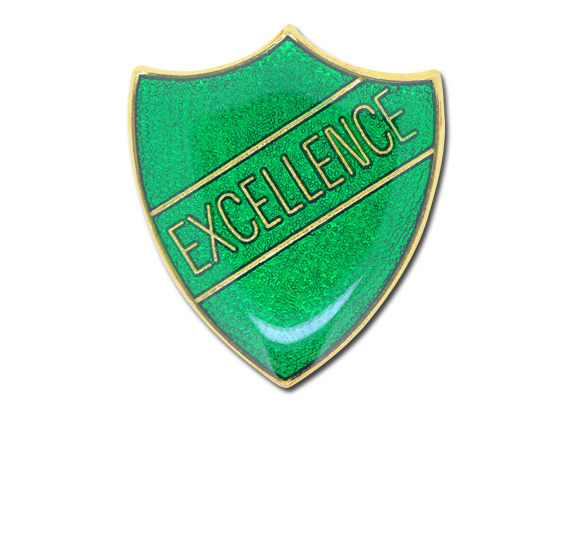 Excellence Enamelled Shield Badge