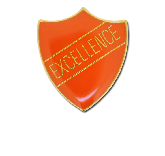 Excellence Enamelled Shield Badge