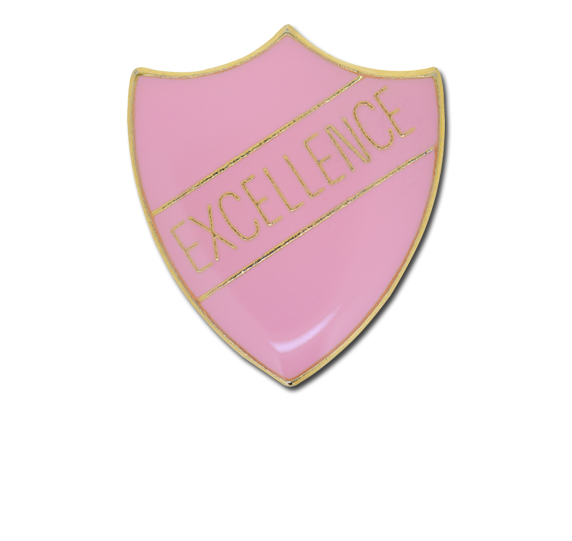 Excellence Enamelled Shield Badge