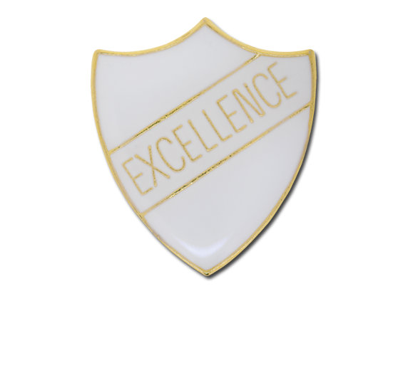 Excellence Enamelled Shield Badge