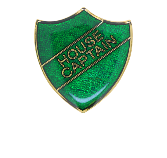 Committee Pin Badge in Green Enamel With Rounded Edge 