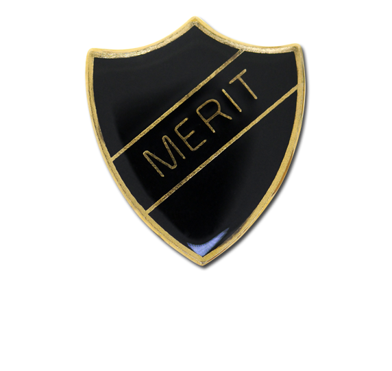 Merit Enamelled Shield Badge