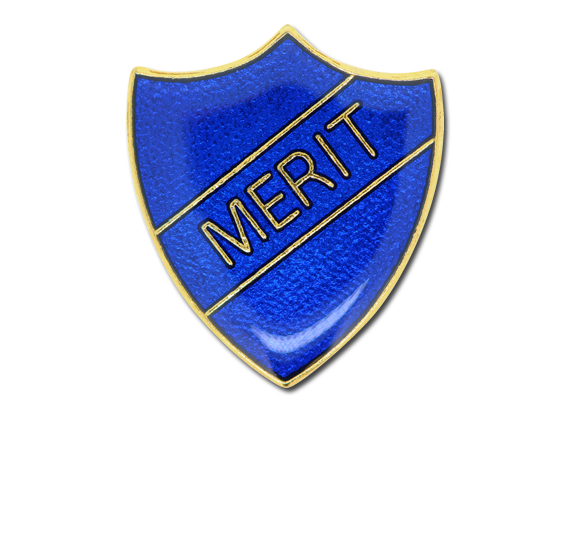 Merit Enamelled Shield Badge