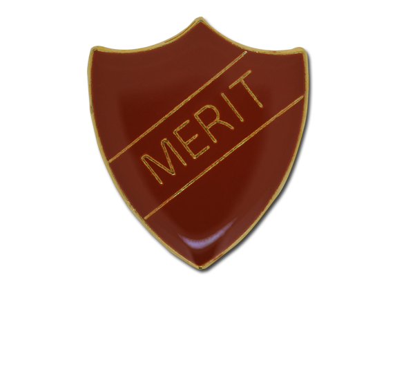 Merit Enamelled Shield Badge