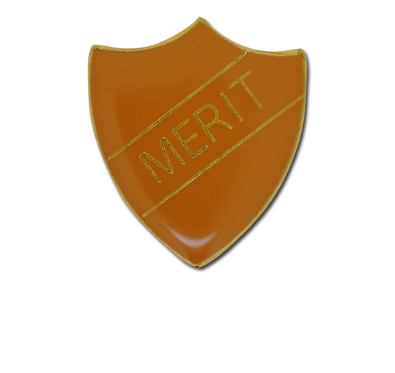 Merit Enamelled Shield Badge