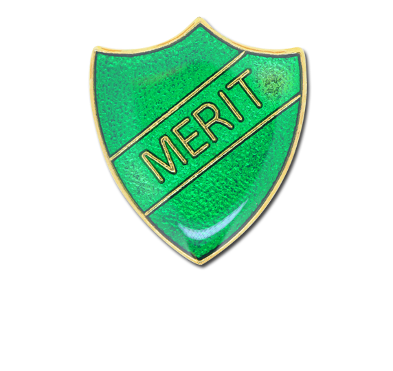 Merit Enamelled Shield Badge