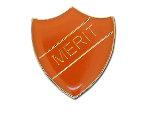 Merit Enamelled Shield Badge