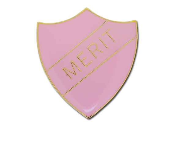 Merit Enamelled Shield Badge