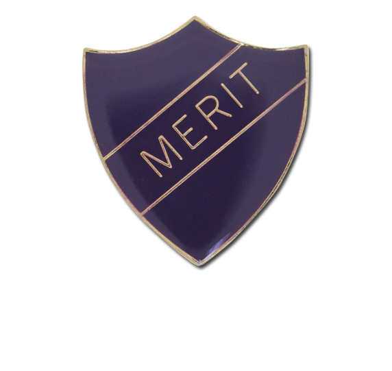 Merit Enamelled Shield Badge