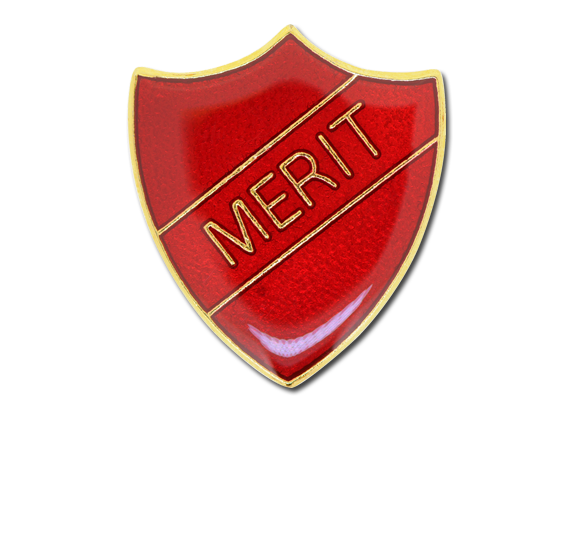 Merit Enamelled Shield Badge