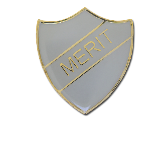 Merit Enamelled Shield Badge