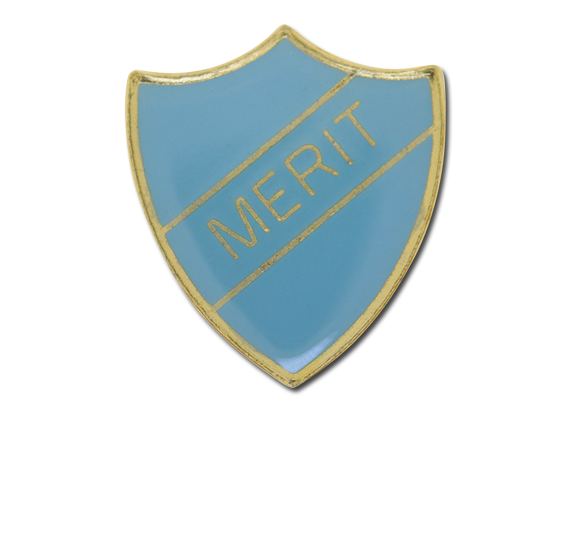 Merit Enamelled Shield Badge