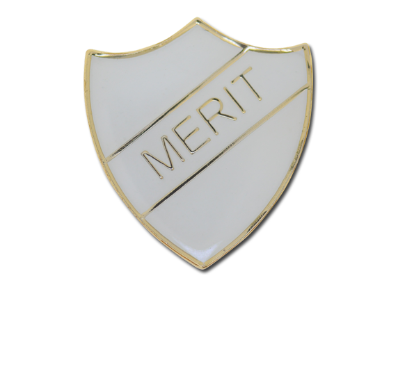 Merit Enamelled Shield Badge