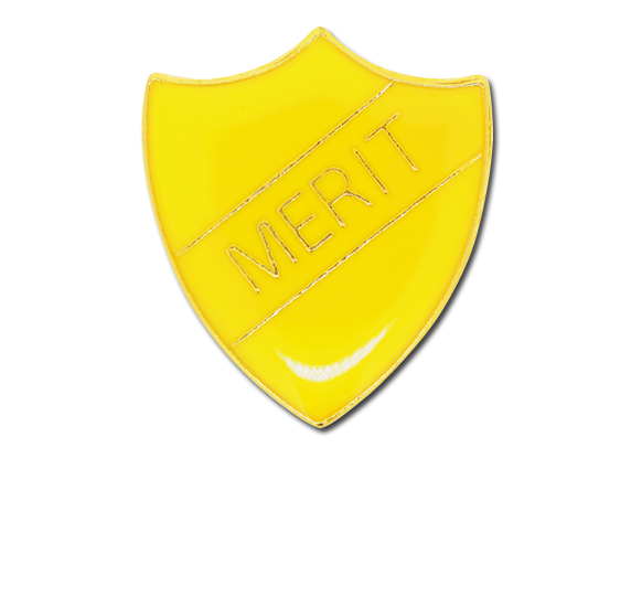 Merit Enamelled Shield Badge