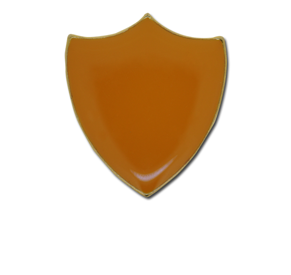 Plain Shield Enamelled Shield Badge