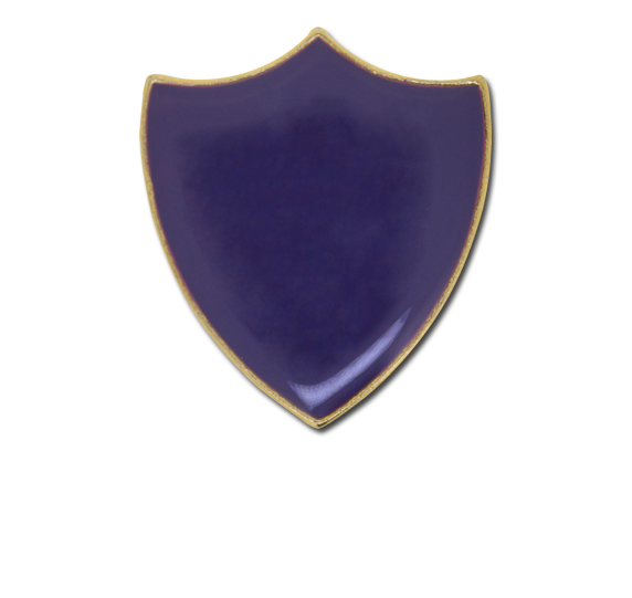 Plain Shield Enamelled Shield Badge