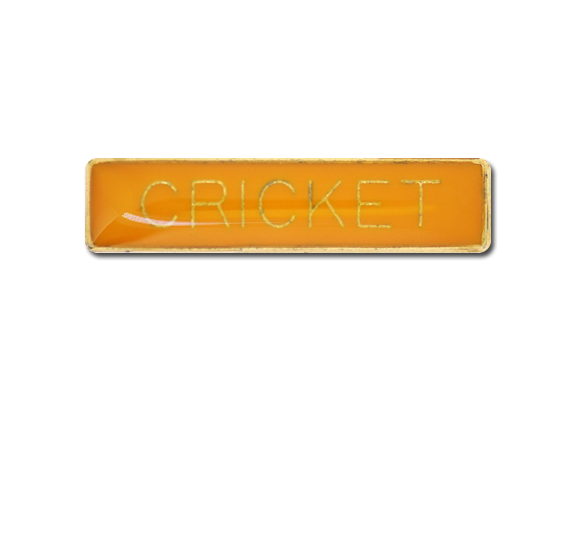 Cricket Small Bar Badge