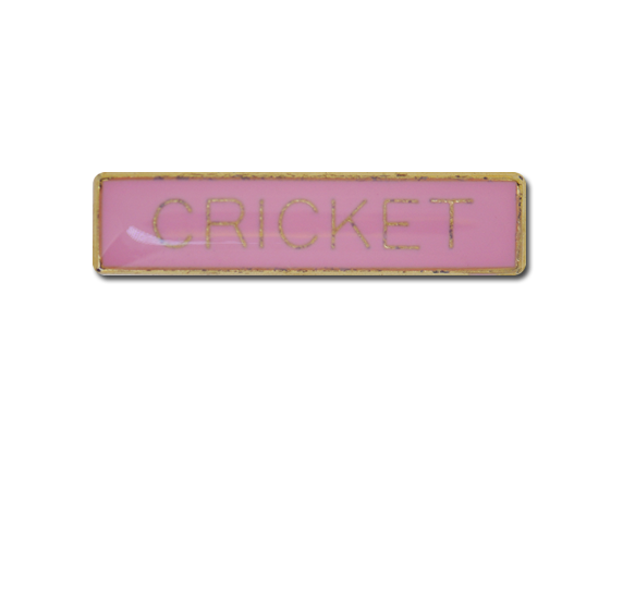 Cricket Small Bar Badge