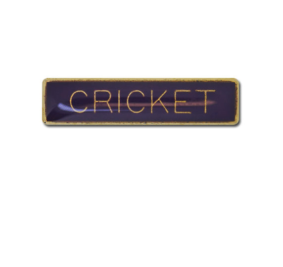 Cricket Small Bar Badge