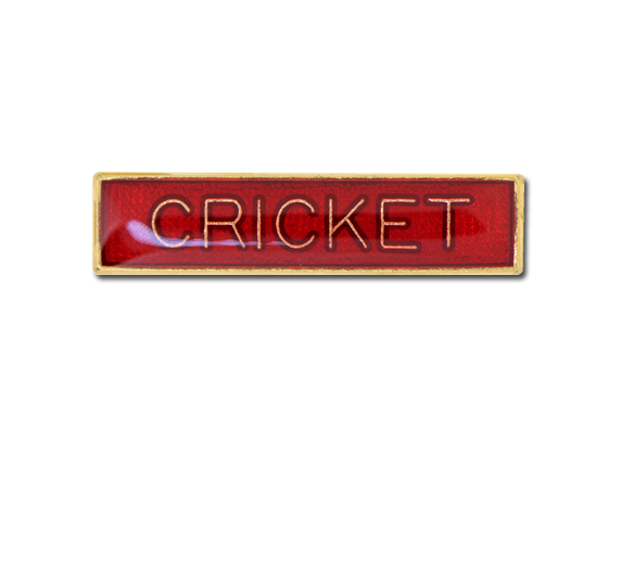 Cricket Small Bar Badge