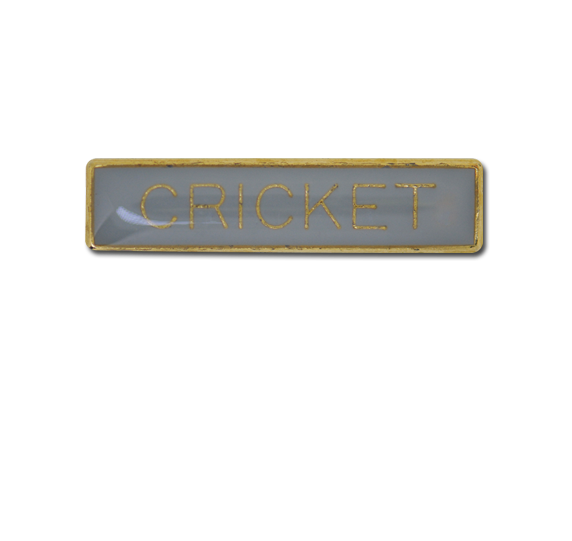 Cricket Small Bar Badge